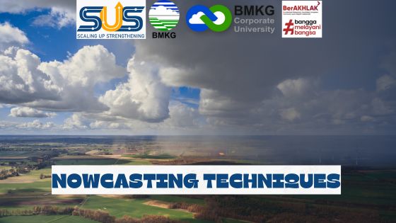 NOWCASTING TECHNIQUES